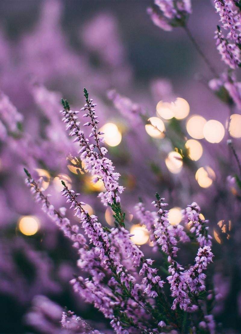 September 2025 - Strength Amidst Skepticism