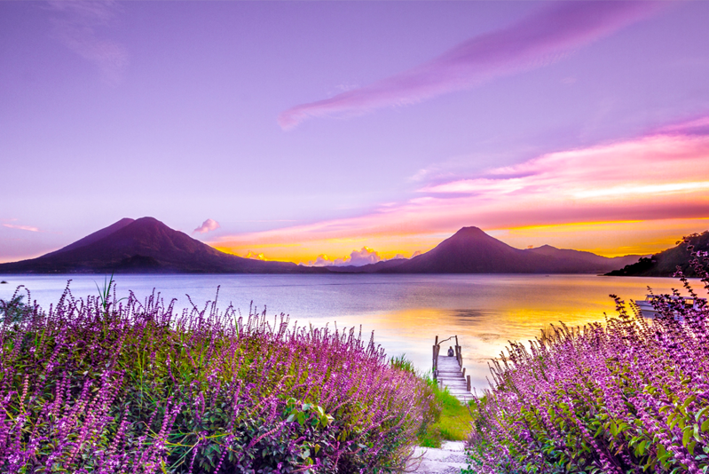 Trump’s First 100 Days: A Tax Guessing Game