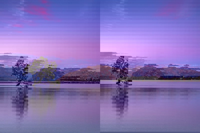 December 2024 - The Consumer Remains the Key